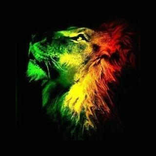 Reggae Starz Radio